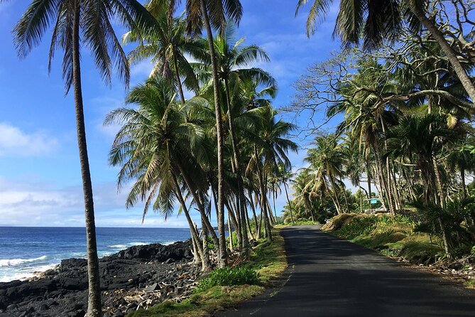 Fat Tire E-Bike Rentals in Pahoa - Meeting Point Instructions