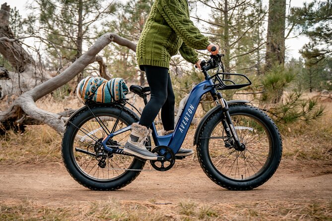 Fat Tire Ebikes for Rent NYC (Lic) 1, 3 & 5 Day Rentals - Benefits of Fat Tire Ebikes