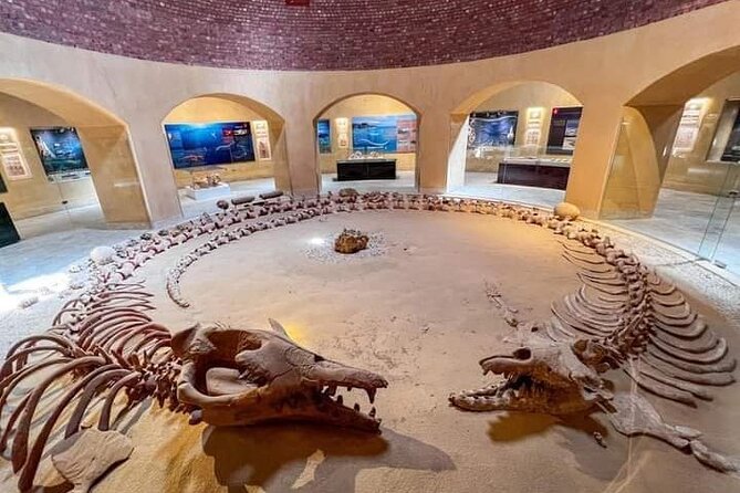Fayoum Oasis Tour by 4x4 Car Valley of the Whales & Waterfalls - 4x4 Car Adventure in Fayoum Oasis
