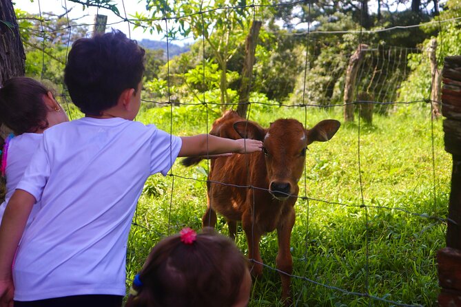 Finca El Paraiso Farm Cheese Tour in Monteverde - Tour Details