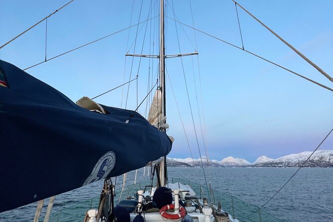 Fjord Cruise Expedition With Dinner,Tromso - Pickup and Meeting Point