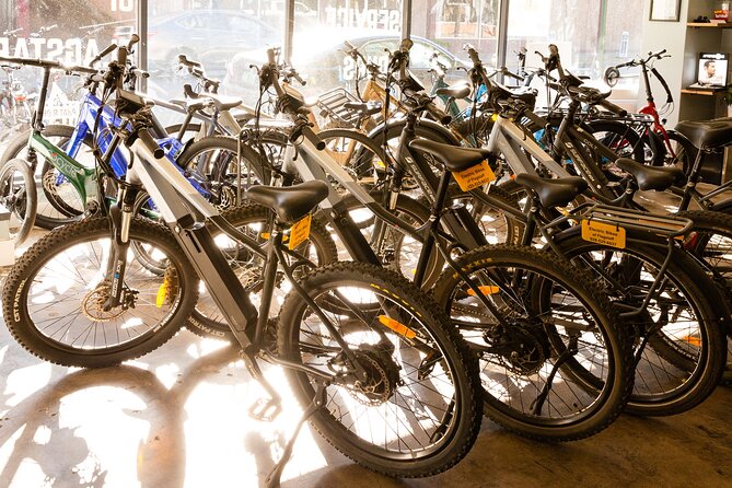 Flagstaff Electric Bike Rental - Rental Pricing and Booking Details
