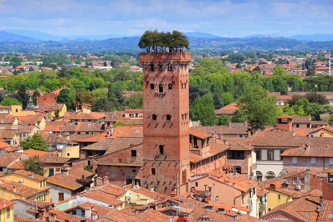 Florence and Lucca Shore Excursion From Livorno Port - Tour Details