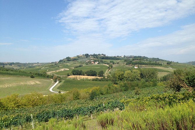 Florence and Wine Tasting Private Tour From Livorno - Tour Highlights