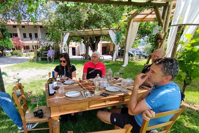 Food and Wine Tasting of Valtenesi and Lugana - Valtenesi and Lugana Wine Region