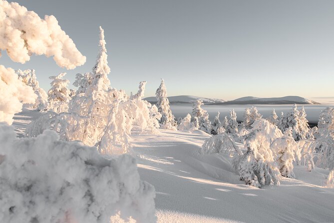 Forest Skiing in Nature - Benefits of Forest Skiing