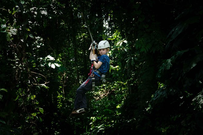 Four-Hour Zip Line Tour Through the Rainforest and Platforms  - Limon - Pricing and Booking