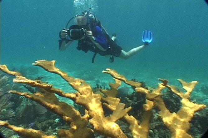 Freeport Snorkeling Peterson Cay National Park and Hotel Day Pass - Tour Details