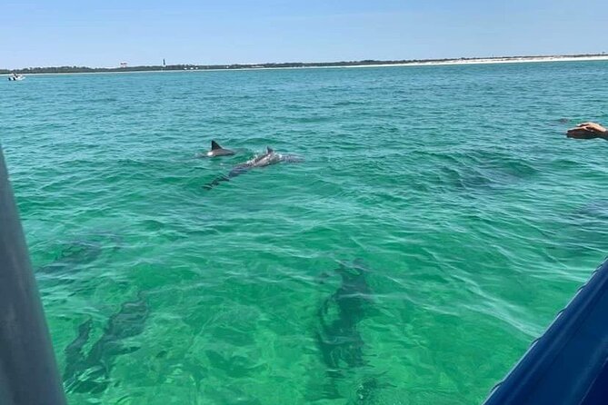 Frisky Mermaid Sunset Dolphin Tour Up to 49 Pax - Tour Overview