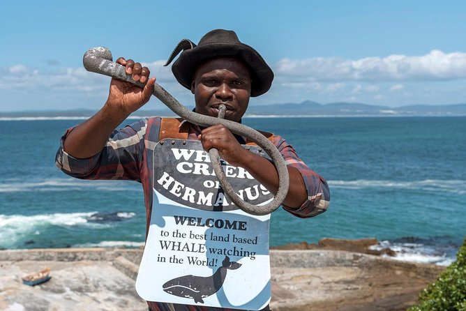 From Cape Town: Full Day Guided Hermanus Explorer Tour - Highlights and Itinerary