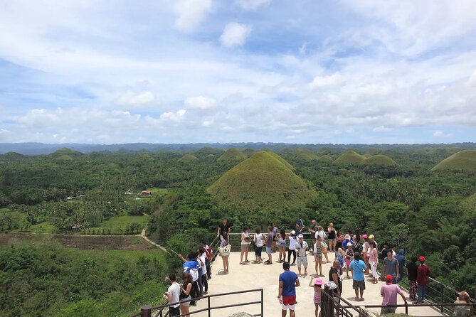 From Cebu: Bohol Countryside Private Tour & Loboc River Cruise - Tour Highlights