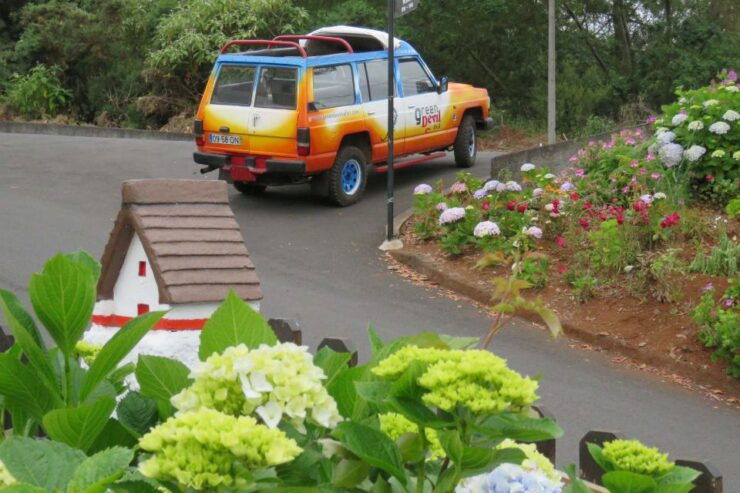 From Funchal: Full-Day Madeira Peaks Tour by Open 4x4 - Tour Details