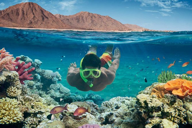 From Hurghada: Paradise Island Full-Day Snorkeling Tour - Tour Details and Activities