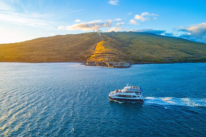 From Maalaea Harbor: Thanksgiving Dinner Cruise Aboard Calypso - Overview and Details