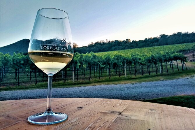 From Padua, Wine Tour in the Euganean Hills - Explore the Beauty of Padua