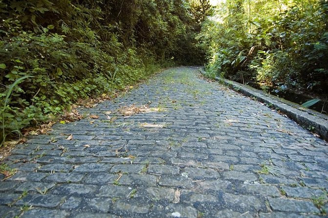 From Paraty: 4x4 Jeep Adventure Visiting Waterfalls & Distilleries - Cancellation Policy and Changes