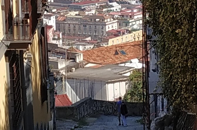 From the Charterhouse to the Historic Naples Market - Tour Overview