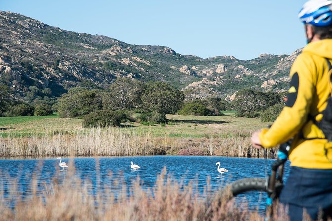 From the Hills to Oasi Biderosa & Capo Comino With Electric Mountain Bikes - Tour Highlights