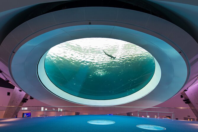 Frost Science Museum Admission Tickets - Ticket Pricing and Options