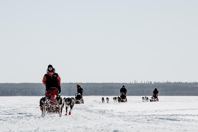 Full Day 30 to 40km Taiga Husky Tour With a Lunch, in Rovaniemi - Tour Details and Requirements