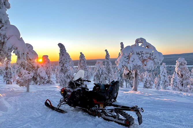 Full Day Activity With Snowmobiles in Rovaniemi - Overview and Activities