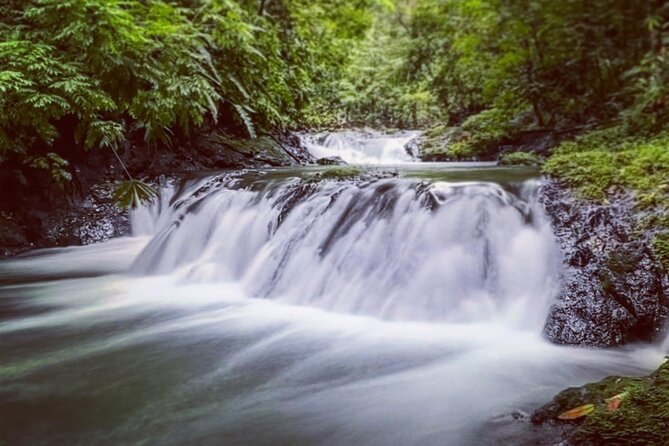 Full-Day Adventure in Corcovado National Park From Drake Bay - Highlights