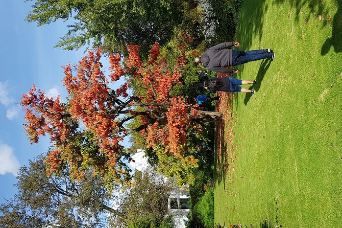 Full Day Afrivista Wine Tours From Stellenbosch - Tour Overview and Highlights