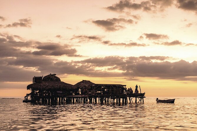Full-Day Appleton Rum, YS Falls and Pelican Bar Private Tour - Tour Highlights