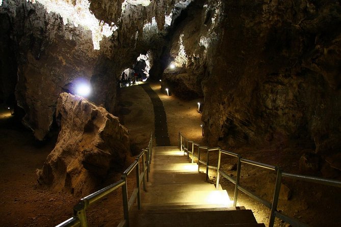 Full-Day Cradle of Humankind Guided Tour From Johannesburg or Pretoria - Pricing and Booking