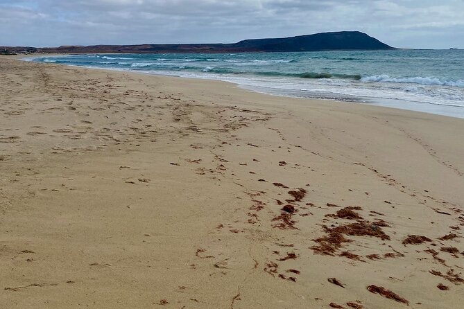 Full Day Group Tour - Includes Shark Bay & Salinas - Tour Details and Inclusions