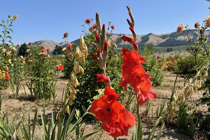 Full Day Guided Columbia River Gorge Tour in Oregon - Pricing and Booking Details