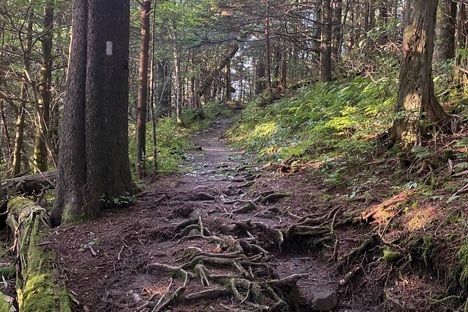 Full Day Hike to Charlies Bunion on the Appalachian Trail - Meeting Point and Start Time