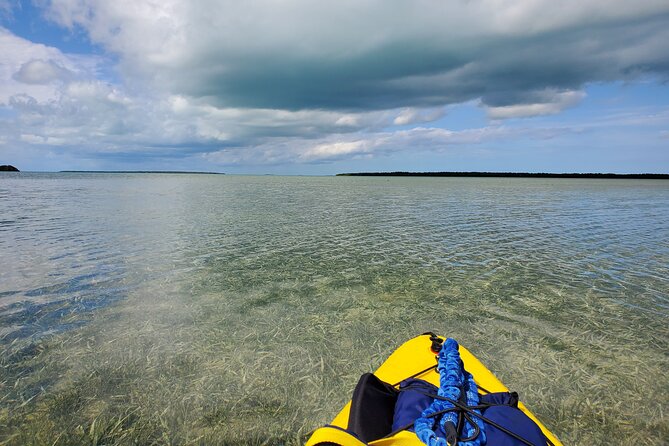 Full-Day Hiking and Kayaking Tour in Everglades National Park - Tour Details