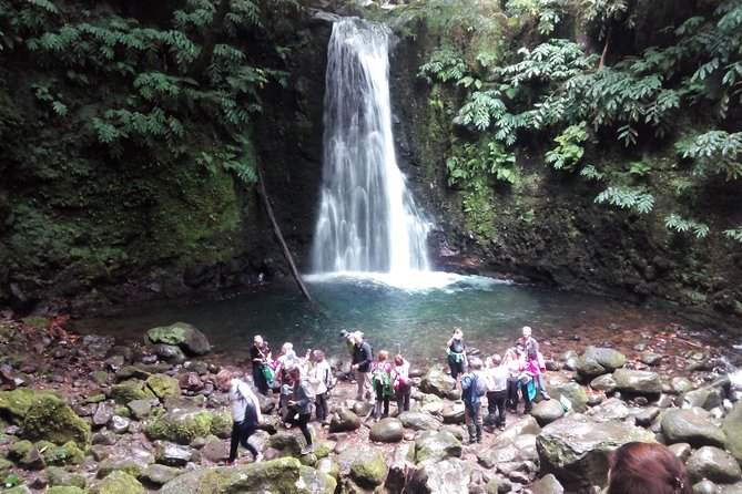 Full Day Hiking Faial Da Terra (Min. 2 Persons) - Tour Highlights