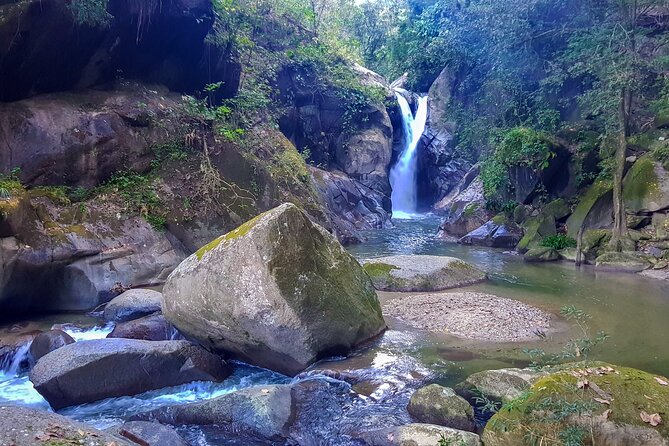 Full-Day Hiking Tour in Minca With Coffee & Cocoa Workshop - Tour Highlights