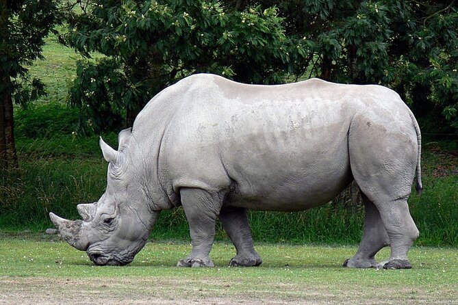 Full Day Hluhluwe Imfolozi Private Game Reserve From Durban - Itinerary for a Full Day Tour