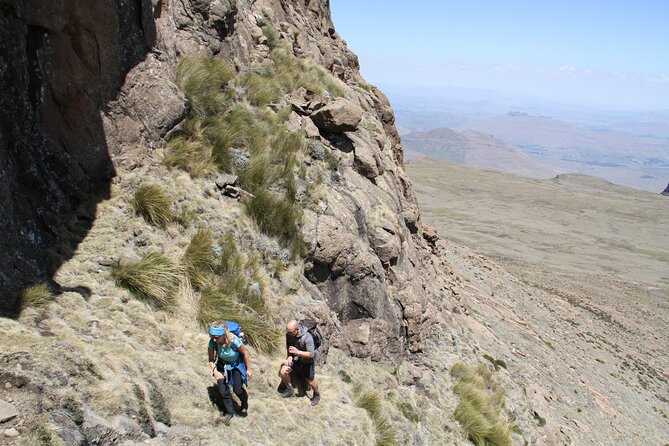 Full Day Hodgsons Peaks Tour - Tour Overview and Inclusions