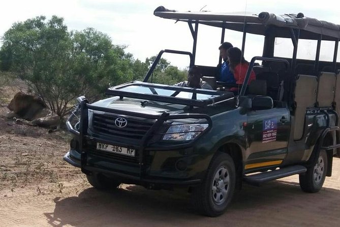 Full-Day Kruger National Park Safari - Overview and Highlights