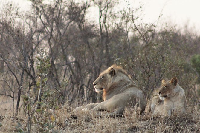 Full Day Kruger National Park - Park Overview