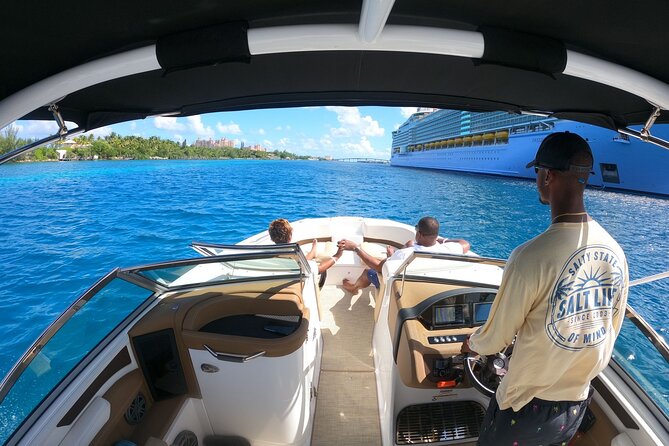 Full-Day Luxury Private Rose Island Pigs and Turtles Excursion - Overview and Pricing