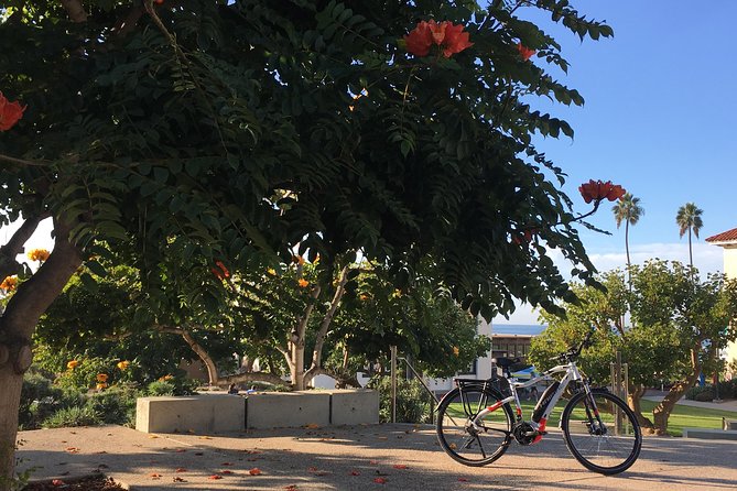 Full Day Performance Ebike Rental - Booking Information and Accessibility