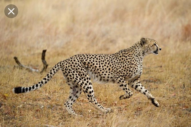 Full-Day Pilanesberg National Park Safari From Johannesburg and Pretoria - Park Location and Accessibility