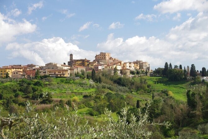 Full-Day Pisa Private Guided Tour With Visit to Local Wine Farm - Tour Description