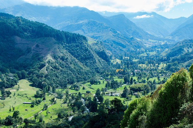 Full-Day Private Coffee Tour in Cocora Valley and Salento - Tour Highlights