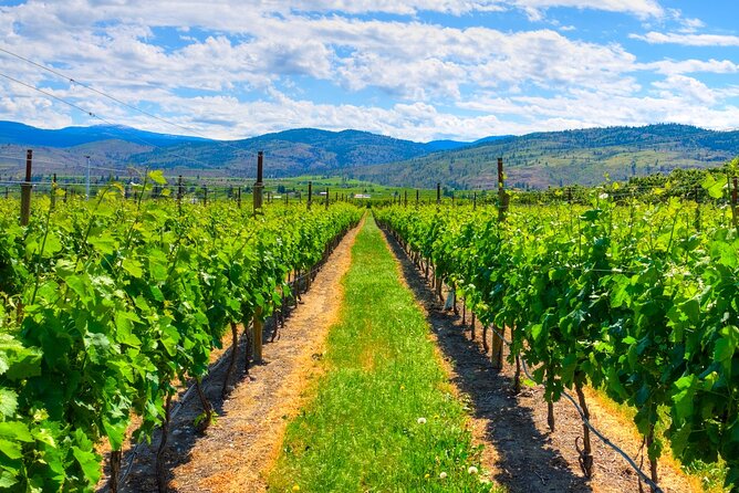 Full-Day Private Fraser Valley Wine Tour From Vancouver - Pricing and Value