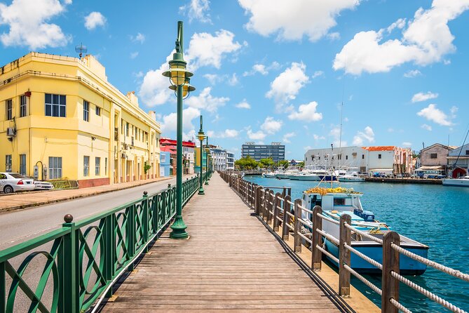 Full Day Private Shore Tour in Bridgetown From Bridgetown Port - Tour Information and Meeting Point