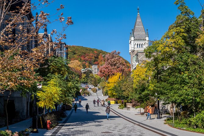 Full Day Private Shore Tour in Montreal From Montreal Cruise Port - Pricing and Value