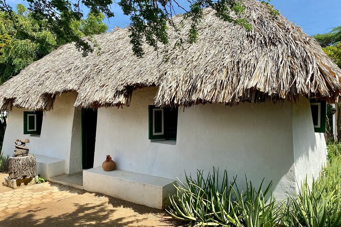 Full-Day Private Tour of East and West Curacao Island - Tour Highlights