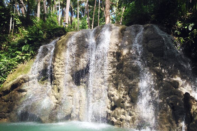 Full Day Private Tour Osmeña Peak and Kawasan Falls Canyoneering - Tour Itinerary