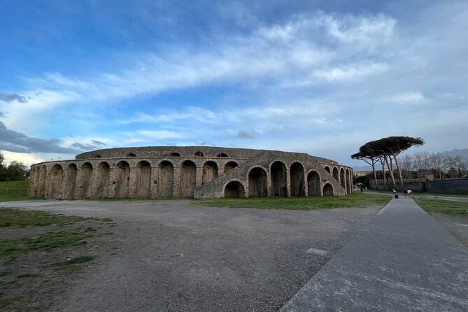 Full Day Private Tour - Pompeii, Herculaneum and Oplontis - Tour Highlights